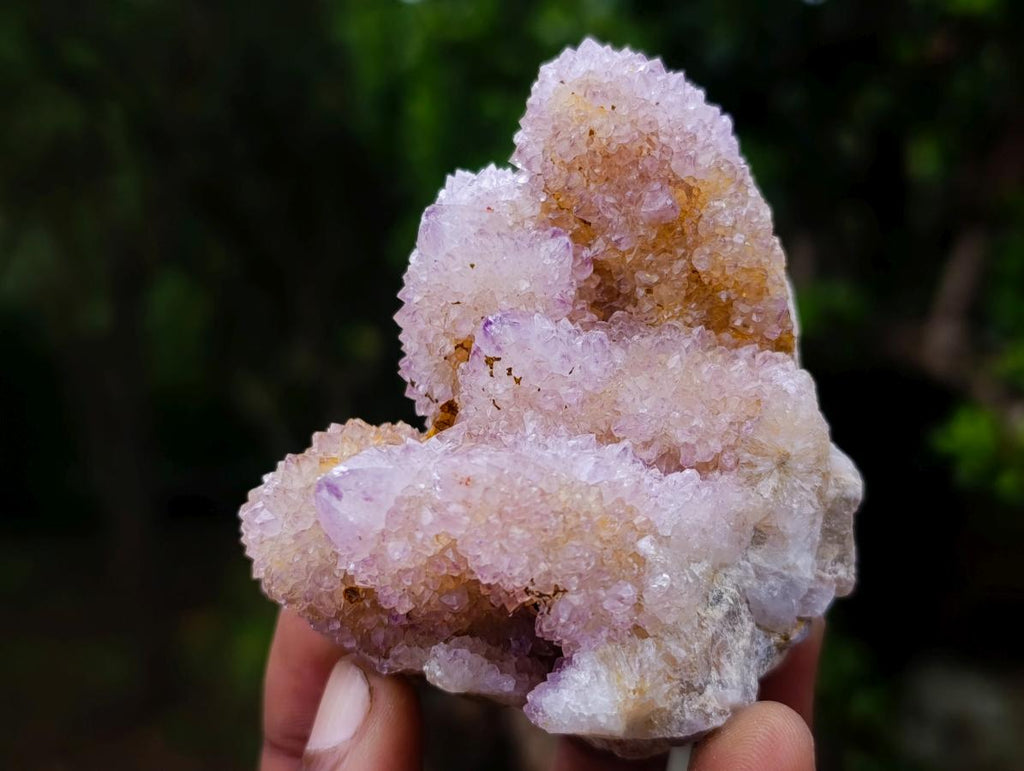 Natural Spirit Amethyst and Ametrine Clusters x 6 From Boekenhouthoek, South Africa - Toprock Gemstones and Minerals 