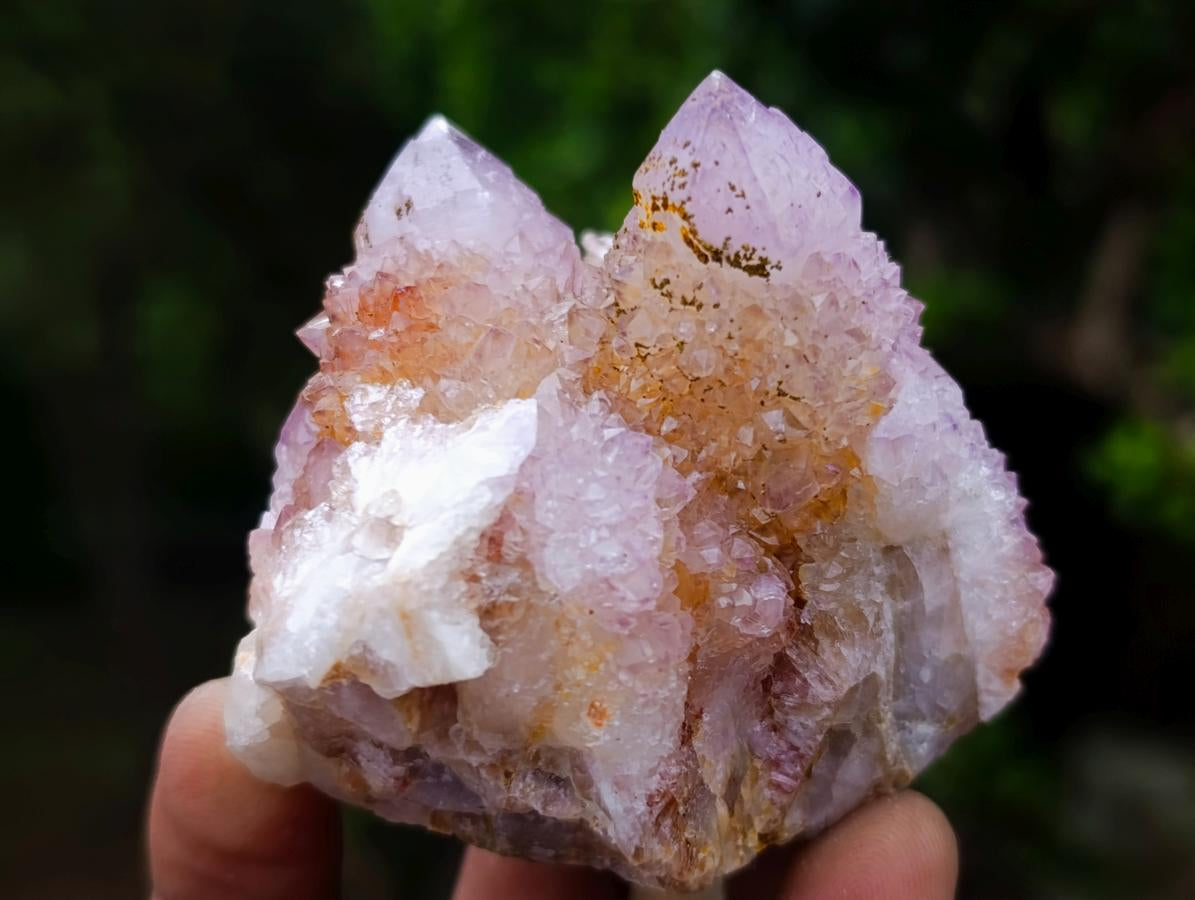 Natural Spirit Amethyst and Ametrine Clusters x 6 From Boekenhouthoek, South Africa - Toprock Gemstones and Minerals 