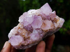 Natural Spirit Amethyst and Ametrine Clusters x 6 From Boekenhouthoek, South Africa - Toprock Gemstones and Minerals 