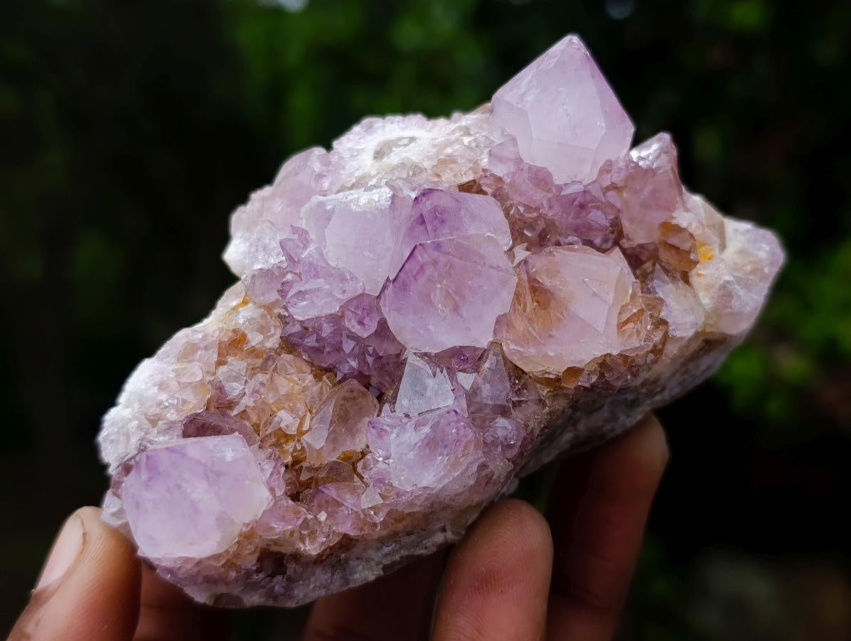 Natural Spirit Amethyst and Ametrine Clusters x 6 From Boekenhouthoek, South Africa - Toprock Gemstones and Minerals 