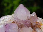Natural Spirit Amethyst and Ametrine Clusters x 6 From Boekenhouthoek, South Africa - Toprock Gemstones and Minerals 