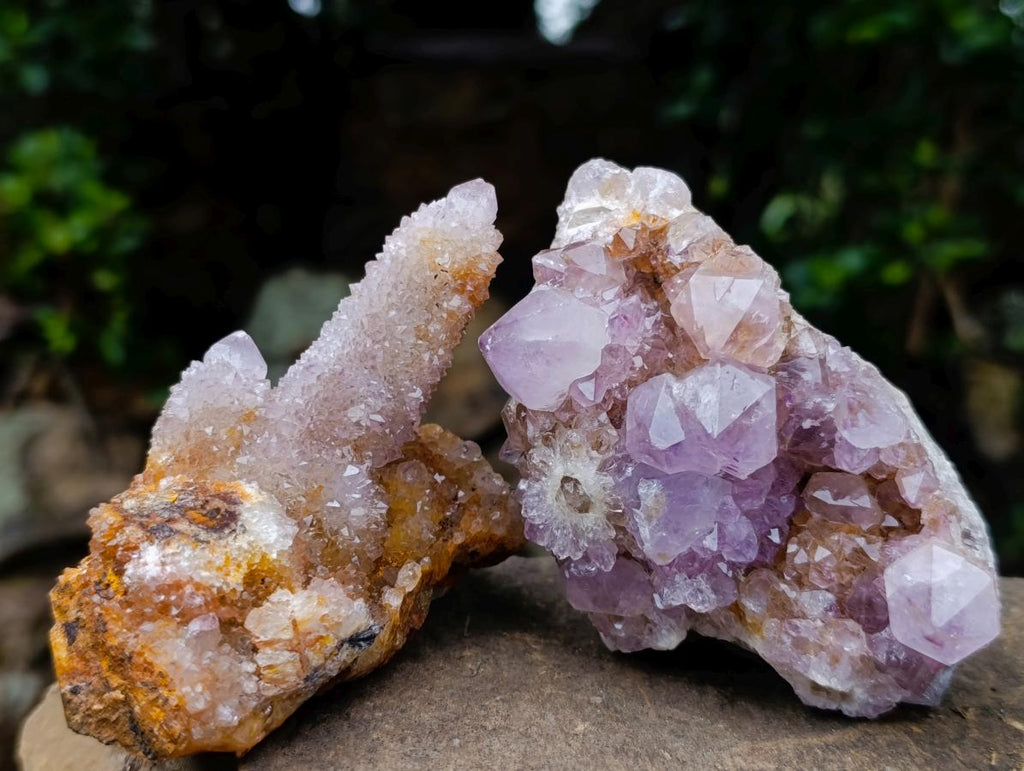 Natural Spirit Amethyst and Ametrine Clusters x 6 From Boekenhouthoek, South Africa - Toprock Gemstones and Minerals 