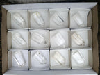 Polished Optic and Clear Quartz Crystals x 12 From Madagascar - Toprock Gemstones and Minerals 