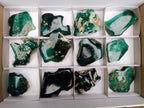 Polished On One Side Mtorolite Chrysoprase Slices x 12 From Mutorashanga, Zimbabwe - Toprock Gemstones and Minerals 