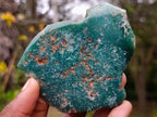Polished On One Side Mtorolite Chrysoprase Slices x 12 From Mutorashanga, Zimbabwe - Toprock Gemstones and Minerals 