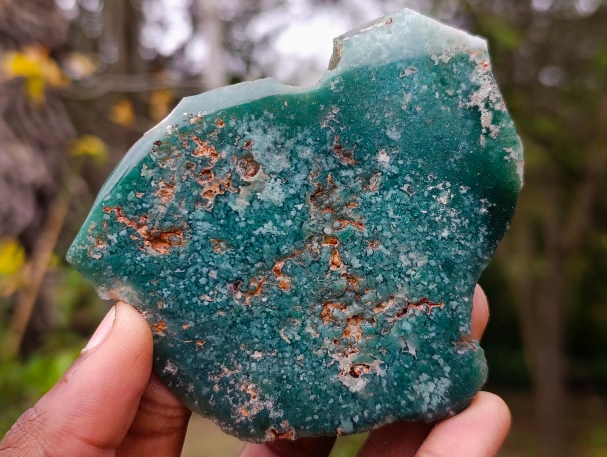 Polished On One Side Mtorolite Chrysoprase Slices x 12 From Mutorashanga, Zimbabwe - Toprock Gemstones and Minerals 