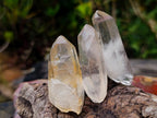 Natural Serenje Quarts Single Crystals x 70 From Serenje, Zambia - Toprock Gemstones and Minerals 