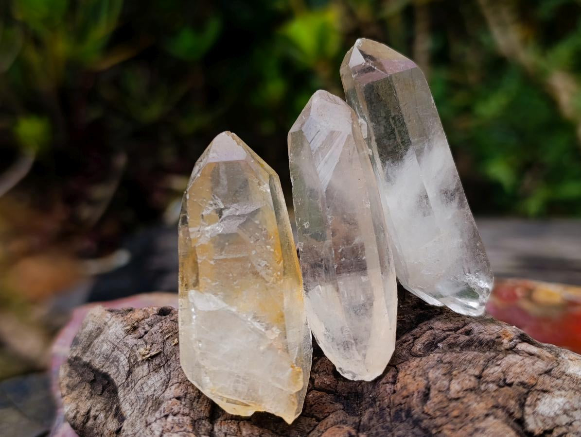 Natural Serenje Quarts Single Crystals x 70 From Serenje, Zambia - Toprock Gemstones and Minerals 