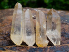 Natural Serenje Quarts Single Crystals x 70 From Serenje, Zambia - Toprock Gemstones and Minerals 