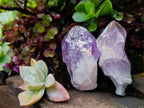 Natural Jacaranda Amethyst Single Crystals x 35 From Mumbwa, Zambia - Toprock Gemstones and Minerals 