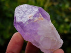 Natural Jacaranda Amethyst Single Crystals x 35 From Mumbwa, Zambia - Toprock Gemstones and Minerals 