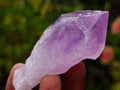 Natural Jacaranda Amethyst Single Crystals x 35 From Mumbwa, Zambia - Toprock Gemstones and Minerals 