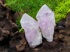 Natural Jacaranda Amethyst Single Crystals x 35 From Mumbwa, Zambia - Toprock Gemstones and Minerals 