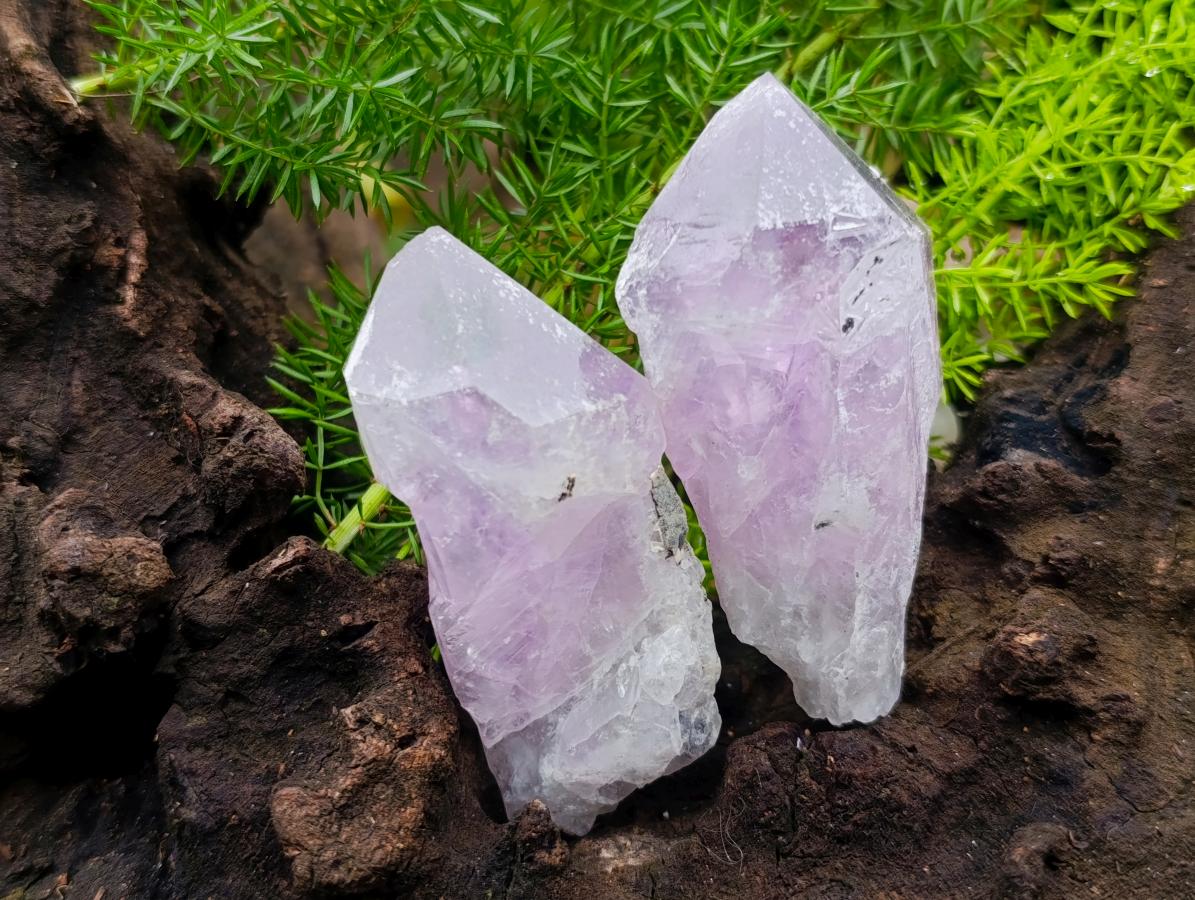 Natural Jacaranda Amethyst Single Crystals x 35 From Mumbwa, Zambia - Toprock Gemstones and Minerals 