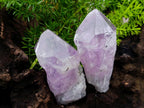Natural Jacaranda Amethyst Single Crystals x 35 From Mumbwa, Zambia - Toprock Gemstones and Minerals 