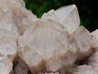 Natural Large Splayed Cascading White Phantom Smokey Luena Quartz Cluster x 1 From Luena, Congo - Toprock Gemstones and Minerals 