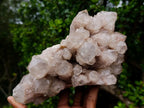 Natural Large Splayed Cascading White Phantom Smokey Luena Quartz Cluster x 1 From Luena, Congo - Toprock Gemstones and Minerals 