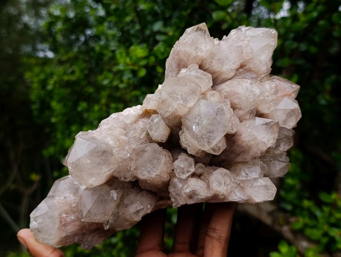 Natural Large Splayed Cascading White Phantom Smokey Luena Quartz Cluster x 1 From Luena, Congo - Toprock Gemstones and Minerals 