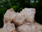 Natural Large Splayed Cascading White Phantom Smokey Luena Quartz Cluster x 1 From Luena, Congo - Toprock Gemstones and Minerals 