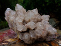 Natural Large Splayed Cascading White Phantom Smokey Luena Quartz Cluster x 1 From Luena, Congo - Toprock Gemstones and Minerals 