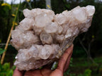 Natural Large Splayed Cascading White Phantom Smokey Luena Quartz Cluster x 1 From Luena, Congo - Toprock Gemstones and Minerals 