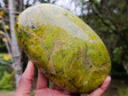 Polished Green Opal Standing Display Pieces x 2 From Betroka, Madagascar - Toprock Gemstones and Minerals 