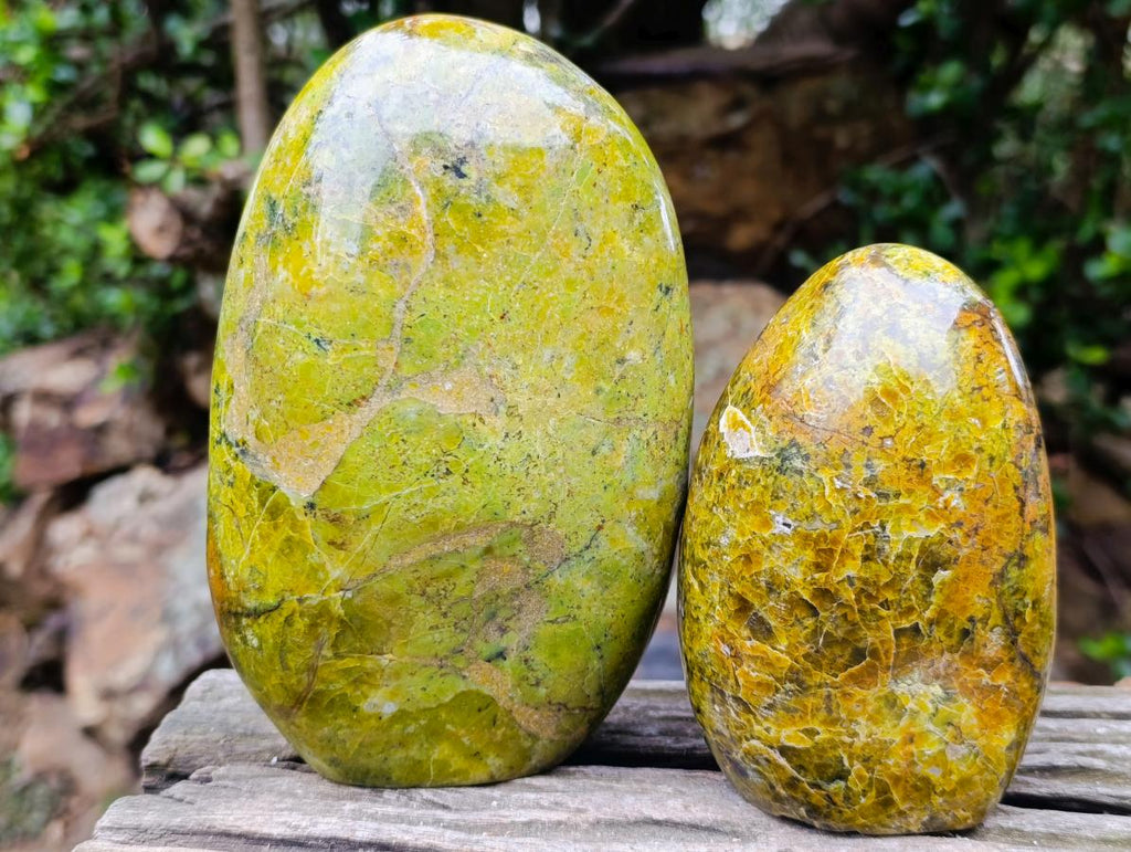 Polished Green Opal Standing Display Pieces x 2 From Betroka, Madagascar - Toprock Gemstones and Minerals 