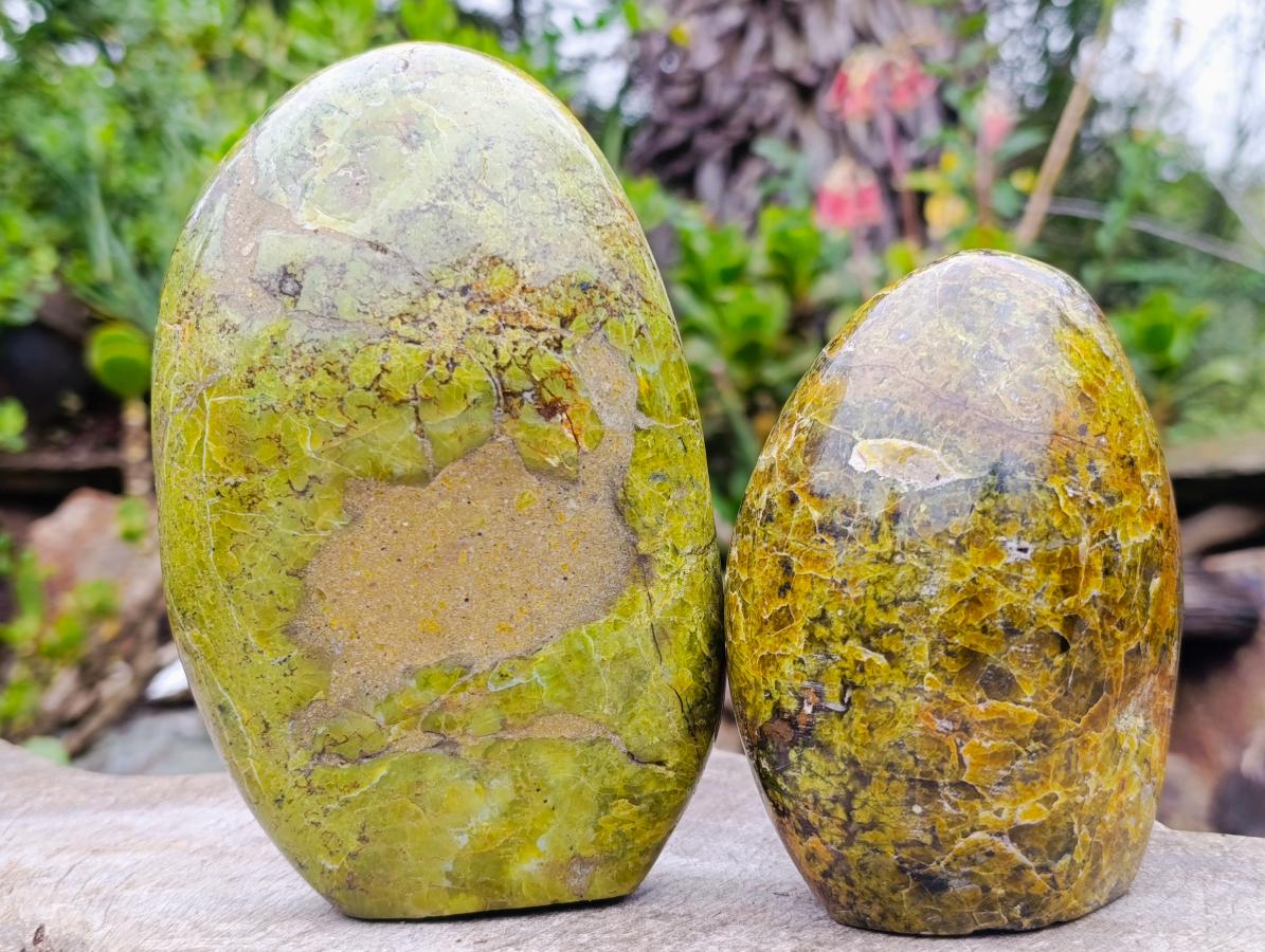 Polished Green Opal Standing Display Pieces x 2 From Betroka, Madagascar - Toprock Gemstones and Minerals 