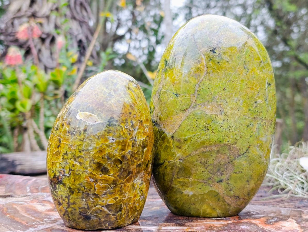 Polished Green Opal Standing Display Pieces x 2 From Betroka, Madagascar - Toprock Gemstones and Minerals 