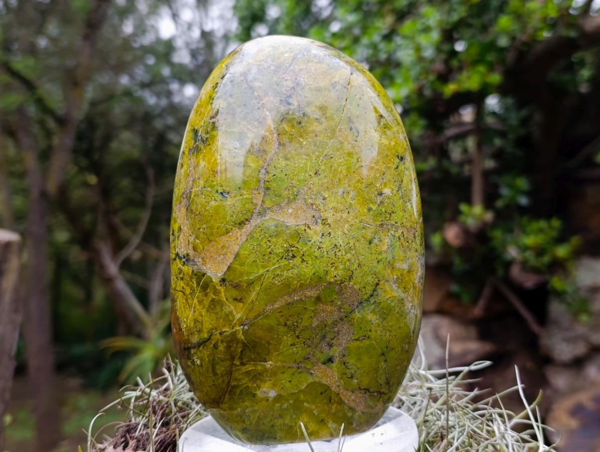 Polished Green Opal Standing Display Pieces x 2 From Betroka, Madagascar - Toprock Gemstones and Minerals 