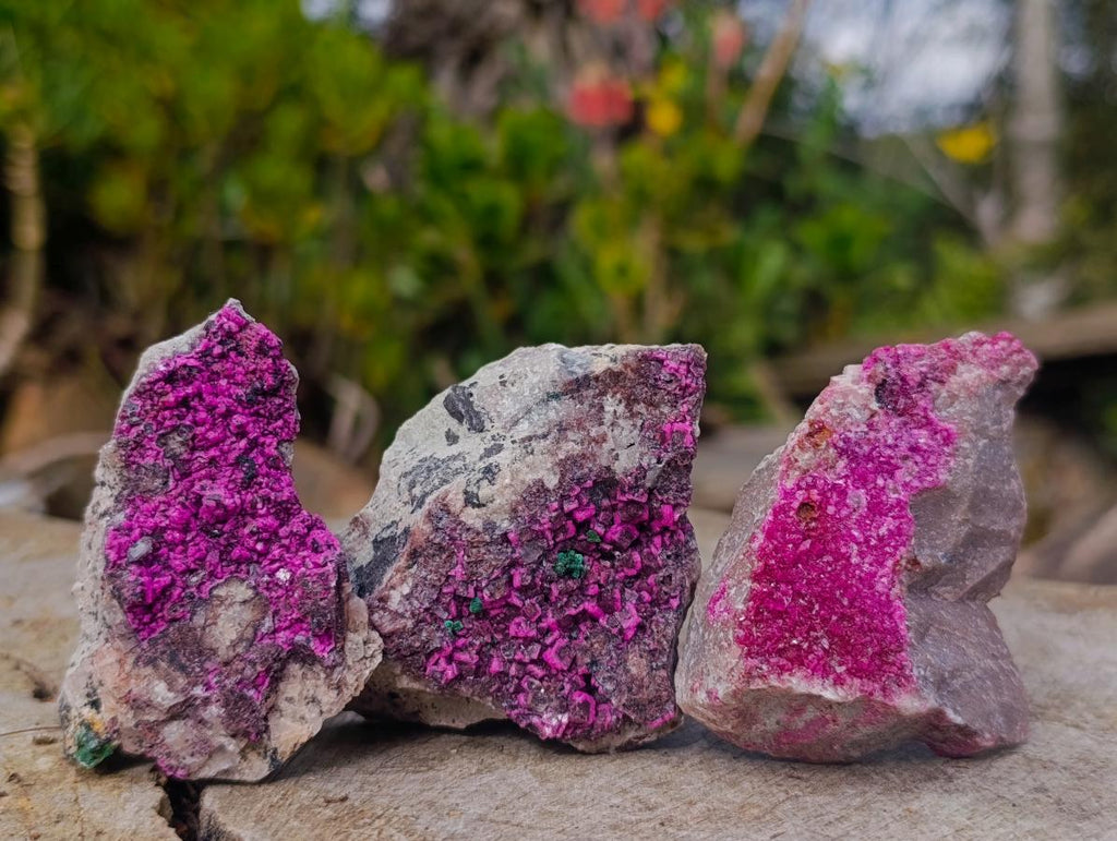 Natural Salrose Cobaltoan Dolomite with Malachite and Heterogenite Specimens x 12 From Kakanda, Congo - Toprock Gemstones and Minerals 
