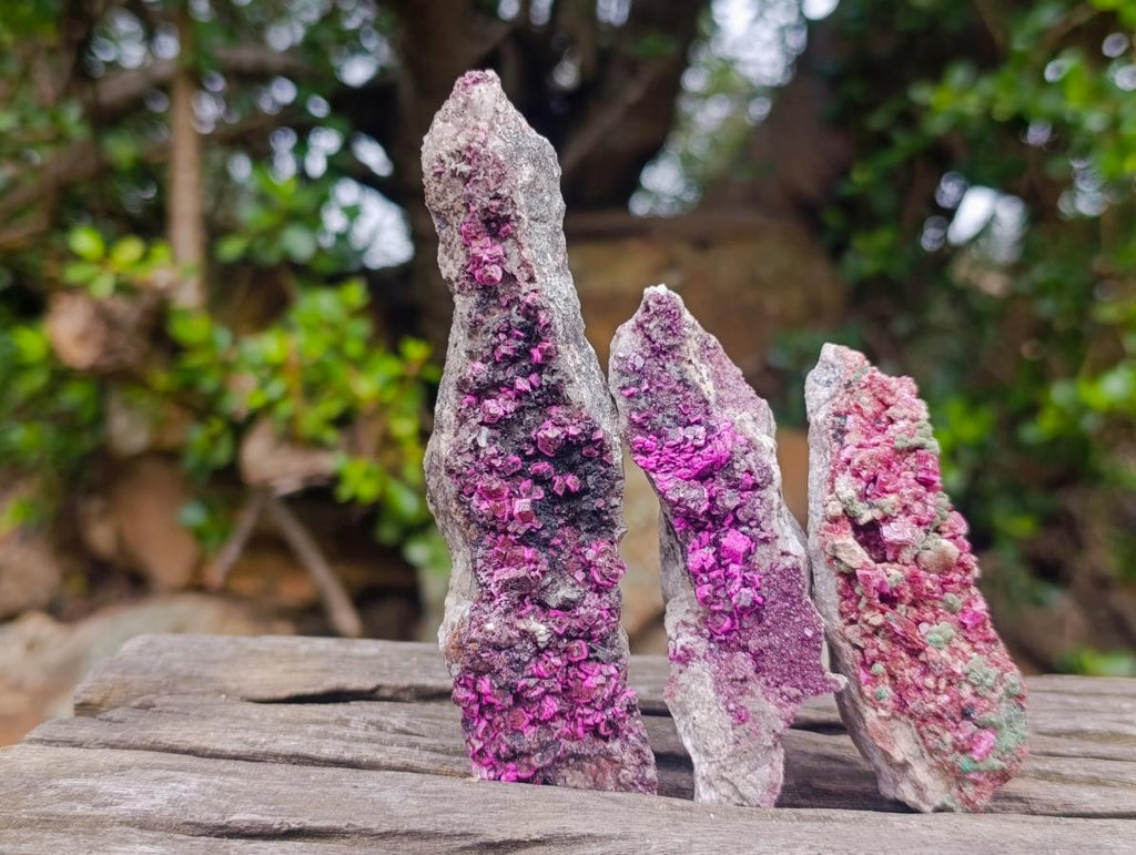 Natural Salrose Cobaltoan Dolomite with Malachite and Heterogenite Specimens x 12 From Kakanda, Congo - Toprock Gemstones and Minerals 