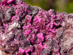 Natural Salrose Cobaltoan Dolomite with Malachite and Heterogenite Specimens x 12 From Kakanda, Congo - Toprock Gemstones and Minerals 