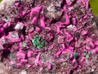 Natural Salrose Cobaltoan Dolomite with Malachite and Heterogenite Specimens x 12 From Kakanda, Congo - Toprock Gemstones and Minerals 