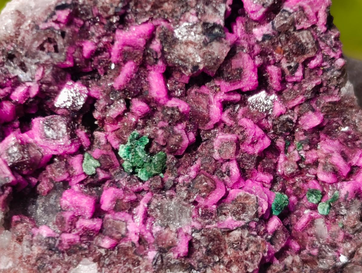 Natural Salrose Cobaltoan Dolomite with Malachite and Heterogenite Specimens x 12 From Kakanda, Congo - Toprock Gemstones and Minerals 