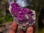 Natural Salrose Cobaltoan Dolomite with Malachite and Heterogenite Specimens x 12 From Kakanda, Congo - Toprock Gemstones and Minerals 