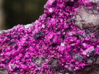 Natural Salrose Cobaltoan Dolomite with Malachite and Heterogenite Specimens x 12 From Kakanda, Congo - Toprock Gemstones and Minerals 
