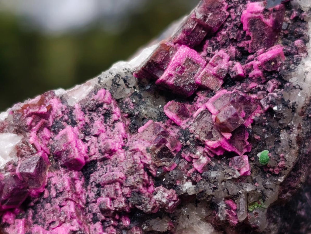 Natural Salrose Cobaltoan Dolomite with Malachite and Heterogenite Specimens x 12 From Kakanda, Congo - Toprock Gemstones and Minerals 