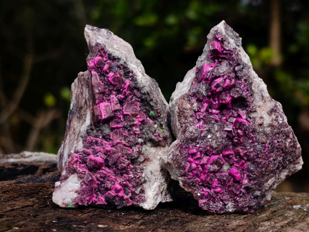 Natural Salrose Cobaltoan Dolomite with Malachite and Heterogenite Specimens x 12 From Kakanda, Congo - Toprock Gemstones and Minerals 