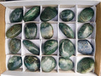 Polished Fuchsite Quartz Galets x 20 From Andakatany, Madagascar - Toprock Gemstones and Minerals 