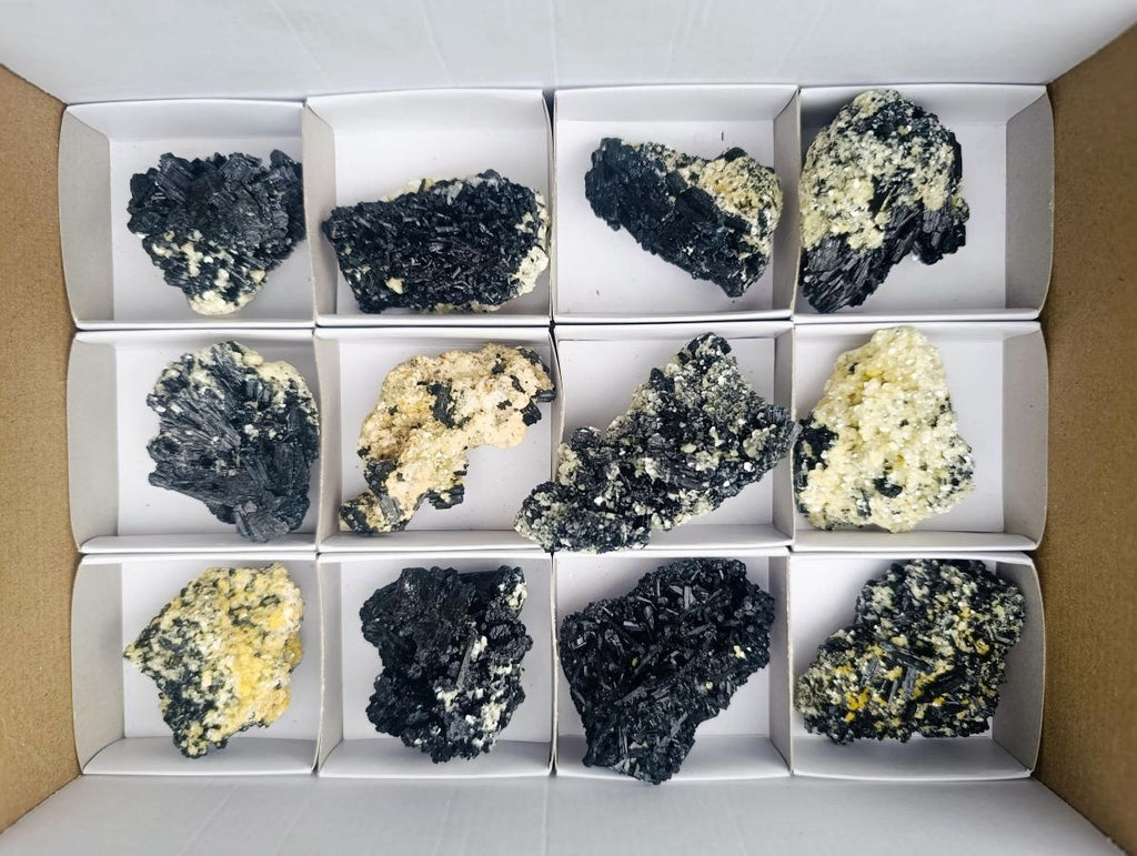 Natural Schorl Black Tourmaline with Muscovite Mica Specimens x 12 From Erongo, Namibia - Toprock Gemstones and Minerals 