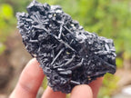 Natural Schorl Black Tourmaline with Muscovite Mica Specimens x 12 From Erongo, Namibia - Toprock Gemstones and Minerals 