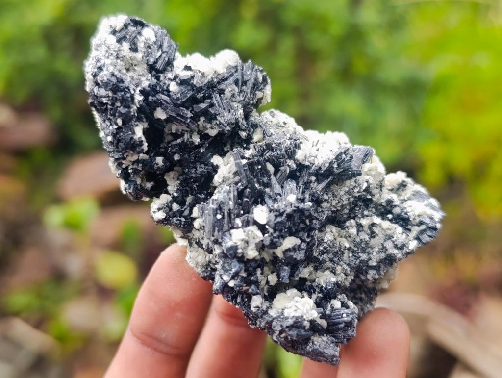 Natural Schorl Black Tourmaline with Muscovite Mica Specimens x 12 From Erongo, Namibia - Toprock Gemstones and Minerals 