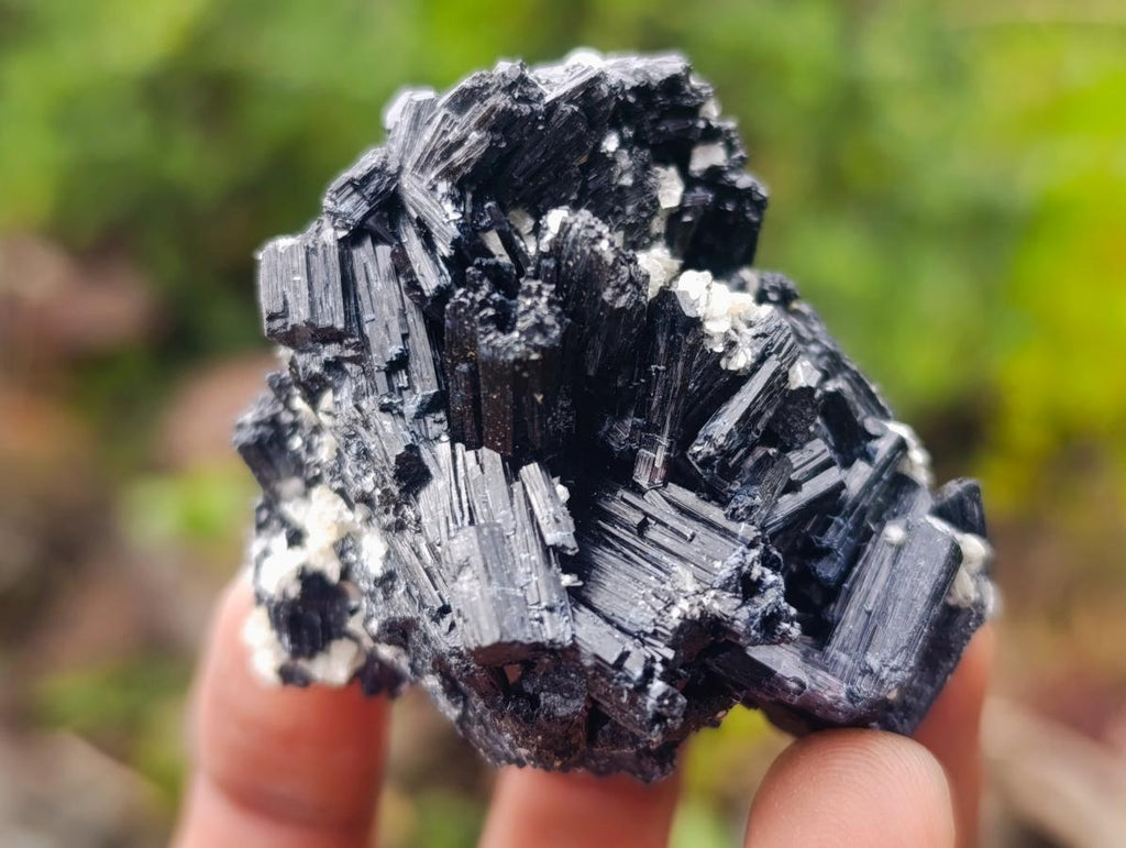 Natural Schorl Black Tourmaline with Muscovite Mica Specimens x 12 From Erongo, Namibia - Toprock Gemstones and Minerals 