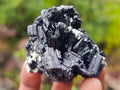 Natural Schorl Black Tourmaline with Muscovite Mica Specimens x 12 From Erongo, Namibia - Toprock Gemstones and Minerals 