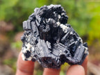 Natural Schorl Black Tourmaline with Muscovite Mica Specimens x 12 From Erongo, Namibia - Toprock Gemstones and Minerals 