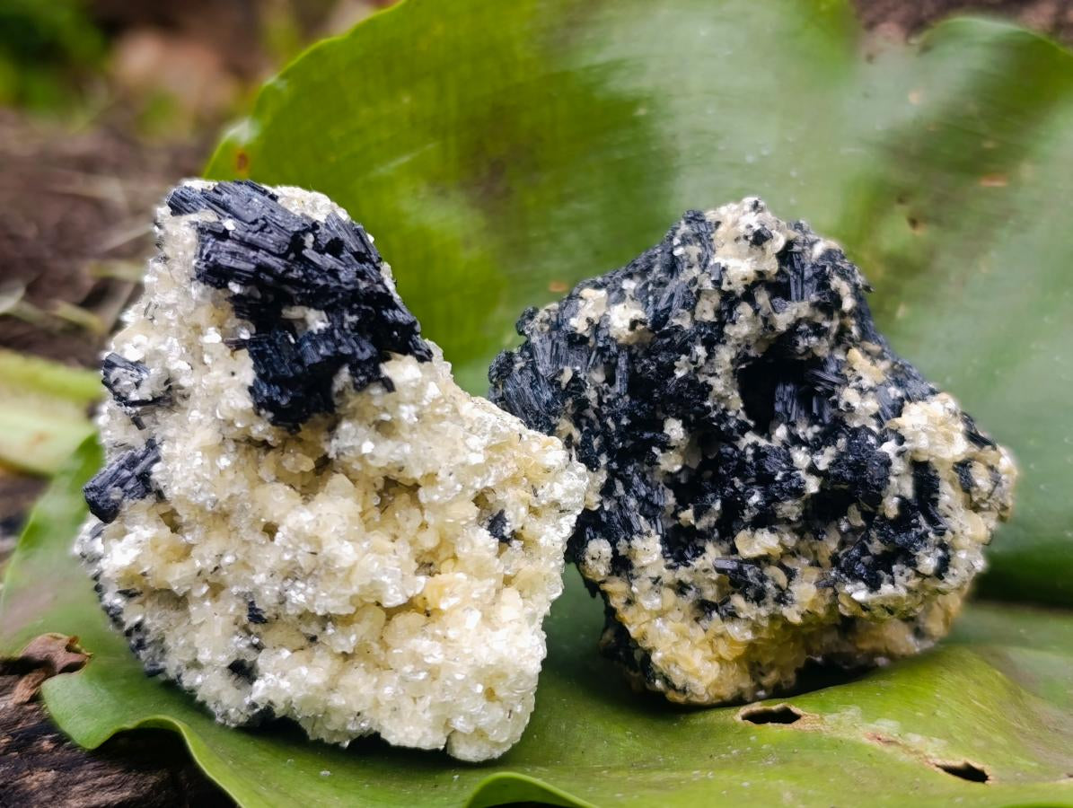 Natural Schorl Black Tourmaline with Muscovite Mica Specimens x 12 From Erongo, Namibia - Toprock Gemstones and Minerals 