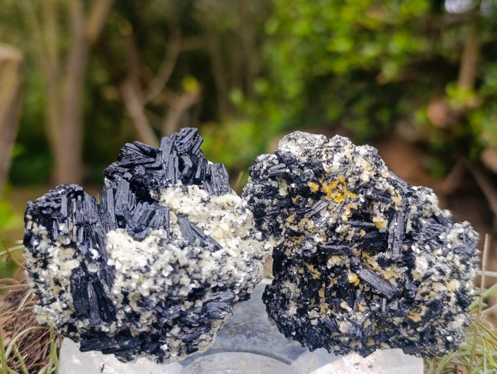 Natural Schorl Black Tourmaline with Muscovite Mica Specimens x 12 From Erongo, Namibia - Toprock Gemstones and Minerals 
