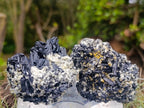 Natural Schorl Black Tourmaline with Muscovite Mica Specimens x 12 From Erongo, Namibia - Toprock Gemstones and Minerals 