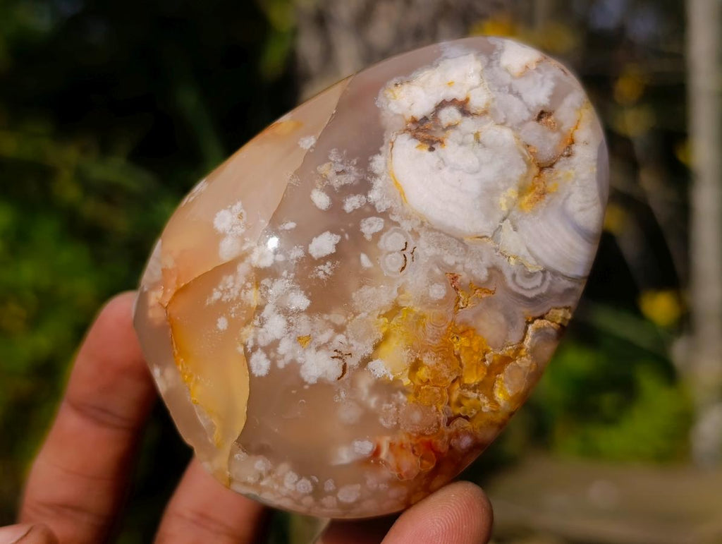 Polished Flower Agate Standing Display Pieces x 12 From Antsahalova, Madagascar - Toprock Gemstones and Minerals 